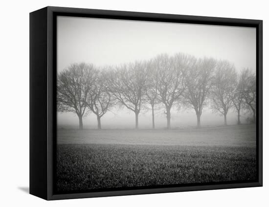 Foggy Landscape-Craig Roberts-Framed Stretched Canvas