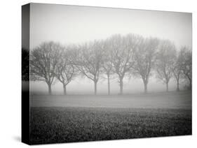 Foggy Landscape-Craig Roberts-Stretched Canvas