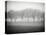 Foggy Landscape-Craig Roberts-Stretched Canvas