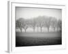 Foggy Landscape-Craig Roberts-Framed Photographic Print