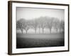 Foggy Landscape-Craig Roberts-Framed Photographic Print