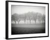 Foggy Landscape-Craig Roberts-Framed Photographic Print