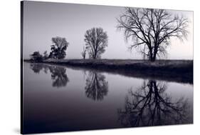 Foggy Morn BW-Steve Gadomski-Stretched Canvas