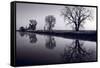 Foggy Morn BW-Steve Gadomski-Framed Stretched Canvas