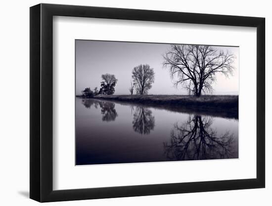 Foggy Morn BW-Steve Gadomski-Framed Photographic Print