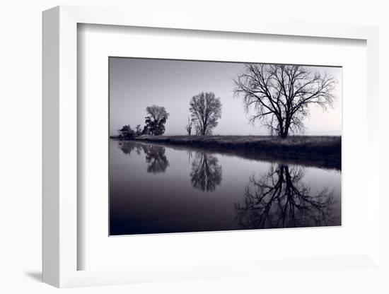 Foggy Morn BW-Steve Gadomski-Framed Photographic Print