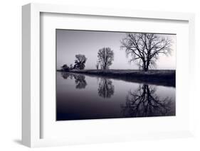 Foggy Morn BW-Steve Gadomski-Framed Photographic Print