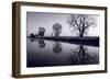 Foggy Morn BW-Steve Gadomski-Framed Photographic Print