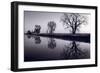 Foggy Morn BW-Steve Gadomski-Framed Photographic Print