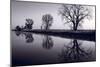 Foggy Morn BW-Steve Gadomski-Mounted Photographic Print