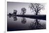 Foggy Morn BW-Steve Gadomski-Framed Photographic Print