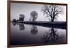 Foggy Morn BW-Steve Gadomski-Framed Photographic Print