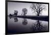 Foggy Morn BW-Steve Gadomski-Framed Photographic Print