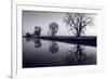 Foggy Morn BW-Steve Gadomski-Framed Photographic Print