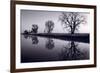 Foggy Morn BW-Steve Gadomski-Framed Photographic Print