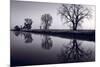 Foggy Morn BW-Steve Gadomski-Mounted Photographic Print