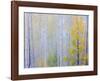 Foggy Morning Aspen I-Don Paulson-Framed Giclee Print