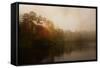 Foggy Morning at Lake LaJoie-Jai Johnson-Framed Stretched Canvas