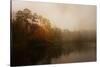 Foggy Morning at Lake LaJoie-Jai Johnson-Stretched Canvas