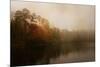 Foggy Morning at Lake LaJoie-Jai Johnson-Mounted Giclee Print