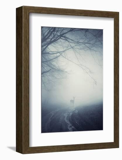 Foggy Morning Hike-Incado-Framed Photographic Print