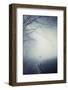 Foggy Morning Hike-Incado-Framed Photographic Print