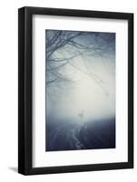 Foggy Morning Hike-Incado-Framed Photographic Print