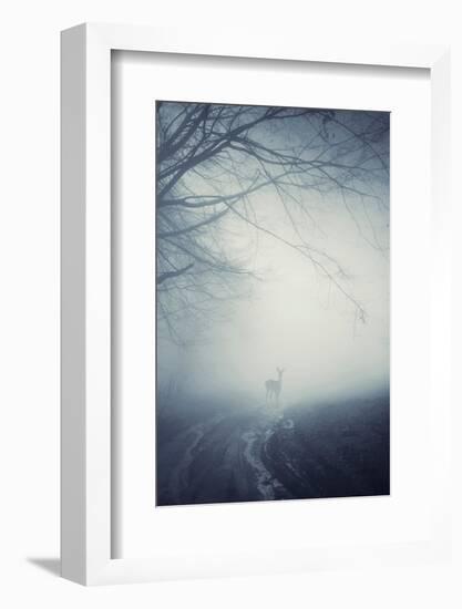 Foggy Morning Hike-Incado-Framed Photographic Print