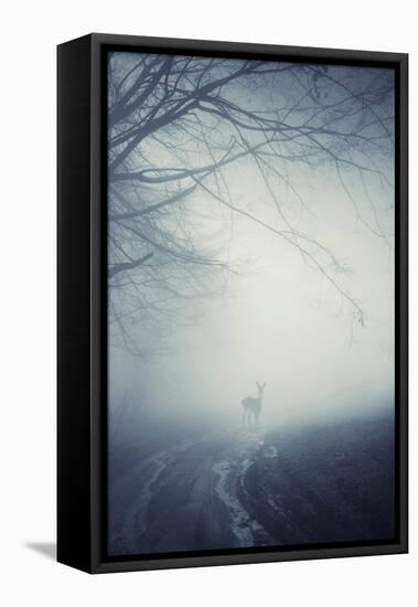 Foggy Morning Hike-Incado-Framed Stretched Canvas