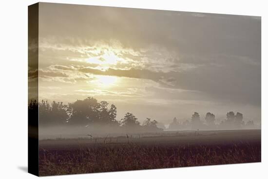 Foggy Morning I-Dana Styber-Stretched Canvas