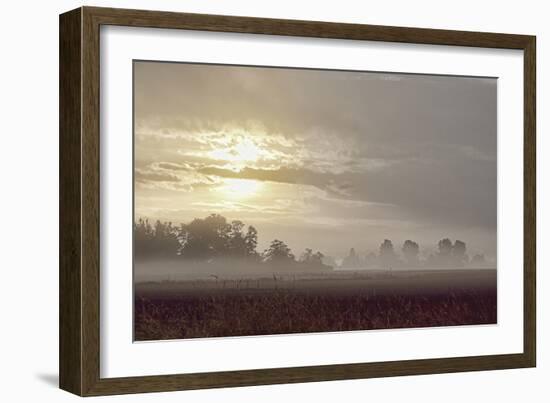 Foggy Morning I-Dana Styber-Framed Photographic Print