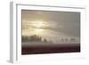 Foggy Morning I-Dana Styber-Framed Photographic Print