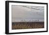 Foggy Morning II-Dana Styber-Framed Photographic Print