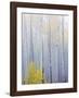 Foggy Morning in Aspen Forest I-Don Paulson-Framed Giclee Print