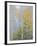 Foggy Morning in Aspen Forest II-Don Paulson-Framed Giclee Print