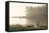 Foggy Morning in Spring, Chair Overlooking Casco Bay, Freeport, Maine-Rob Sheppard-Framed Stretched Canvas