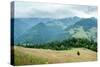 Foggy Morning Landscape with Pine Tree Highland Forest at Carpathian Mountains. Ukraine Destination-Perfect Lazybones-Stretched Canvas