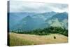 Foggy Morning Landscape with Pine Tree Highland Forest at Carpathian Mountains. Ukraine Destination-Perfect Lazybones-Stretched Canvas