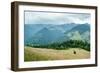 Foggy Morning Landscape with Pine Tree Highland Forest at Carpathian Mountains. Ukraine Destination-Perfect Lazybones-Framed Photographic Print