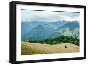 Foggy Morning Landscape with Pine Tree Highland Forest at Carpathian Mountains. Ukraine Destination-Perfect Lazybones-Framed Photographic Print