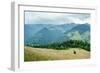 Foggy Morning Landscape with Pine Tree Highland Forest at Carpathian Mountains. Ukraine Destination-Perfect Lazybones-Framed Photographic Print