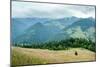 Foggy Morning Landscape with Pine Tree Highland Forest at Carpathian Mountains. Ukraine Destination-Perfect Lazybones-Mounted Photographic Print