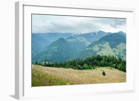 Foggy Morning Landscape with Pine Tree Highland Forest at Carpathian Mountains. Ukraine Destination-Perfect Lazybones-Framed Photographic Print