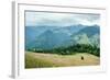 Foggy Morning Landscape with Pine Tree Highland Forest at Carpathian Mountains. Ukraine Destination-Perfect Lazybones-Framed Photographic Print