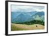 Foggy Morning Landscape with Pine Tree Highland Forest at Carpathian Mountains. Ukraine Destination-Perfect Lazybones-Framed Photographic Print