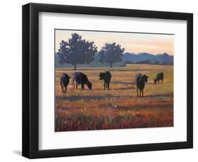 Foggy Morning Light-Patty Baker-Framed Art Print