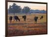 Foggy Morning Light-Patty Baker-Framed Art Print