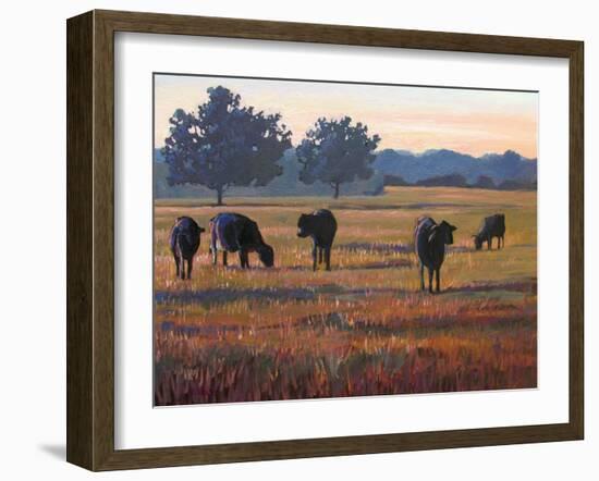 Foggy Morning Light-Patty Baker-Framed Art Print