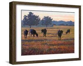 Foggy Morning Light-Patty Baker-Framed Art Print