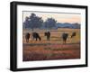 Foggy Morning Light-Patty Baker-Framed Art Print